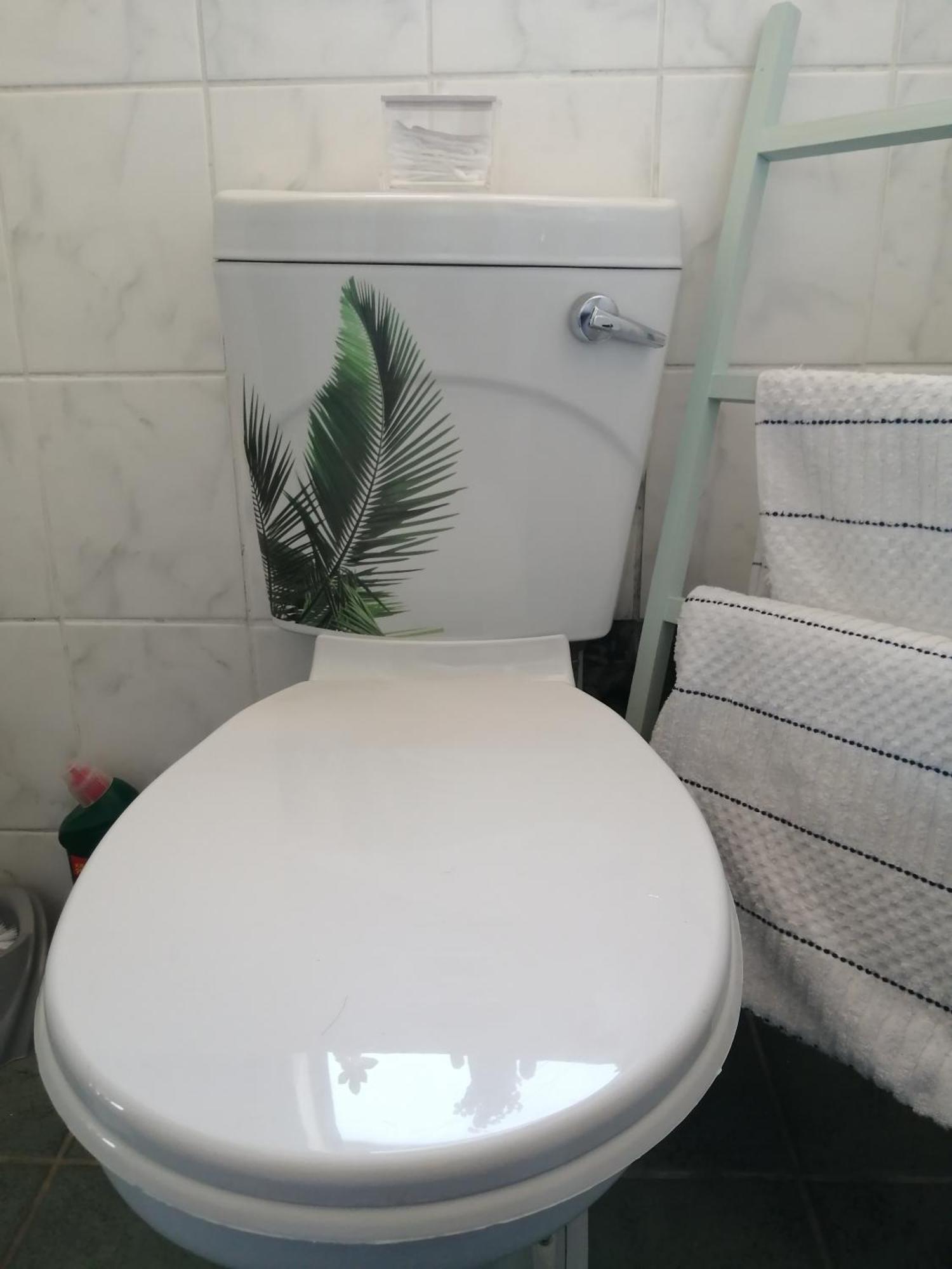 Apartment Greenleaf Fully Furnished Separate Entrance