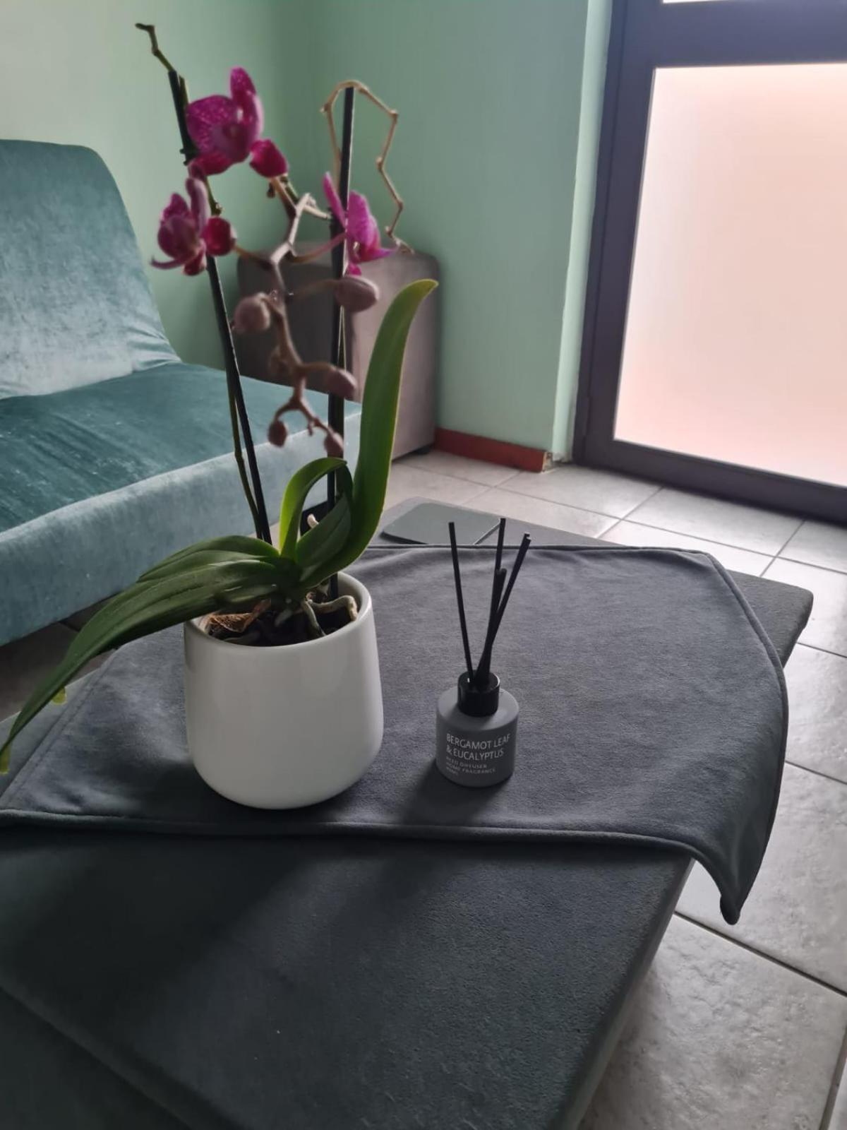 Apartment Greenleaf Fully Furnished Separate Entrance Cape Town